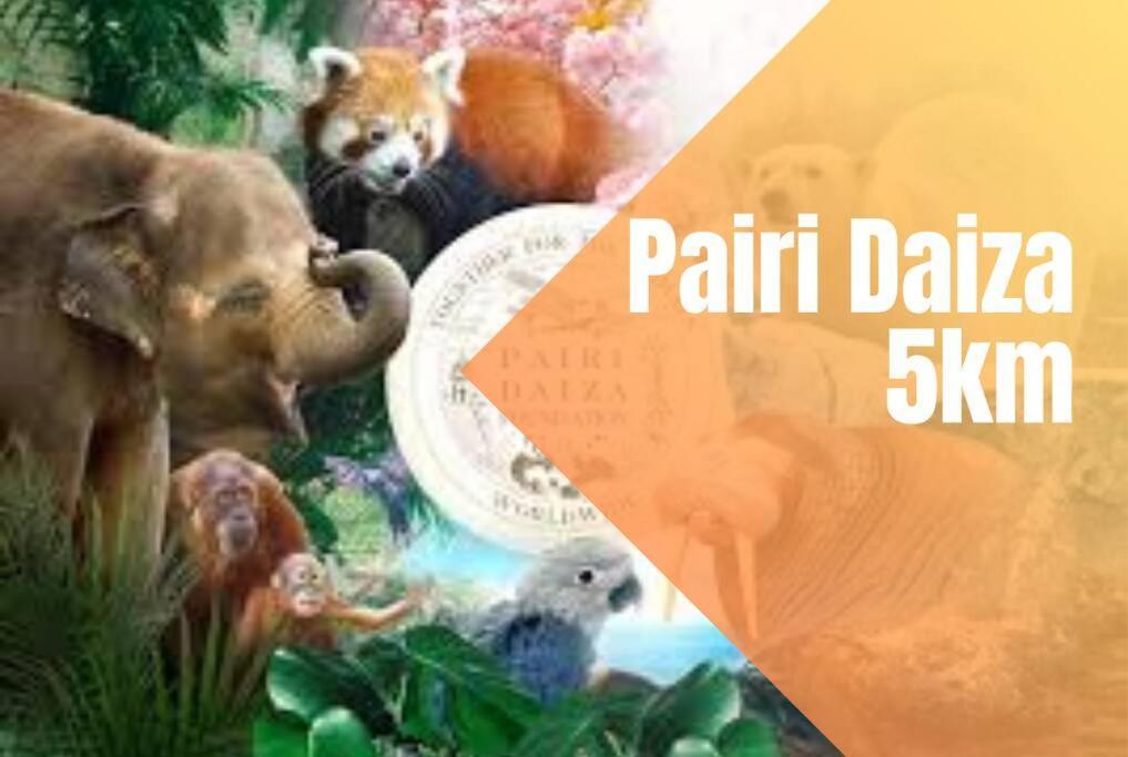 Charmant Logement Brugelette Proche De Pairi Daiza Dış mekan fotoğraf